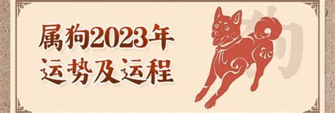 2023 狗年運程|2023年属狗人的流年运势、每月运势详解